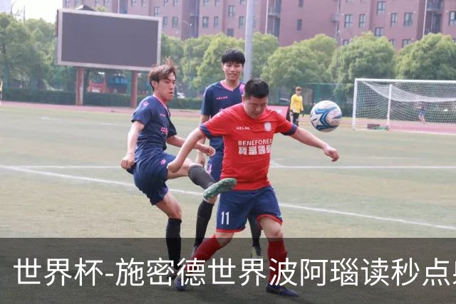 世界杯-施密德世界波阿瑙读秒点射破门 奥地利3-1约旦