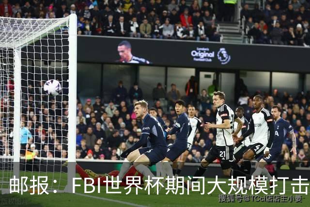 邮报：FBI世界杯期间大规模打击无人机活动，一名非法移民被捕